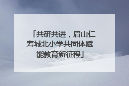 共研共进，眉山仁寿城北小学共同体赋能教育新征程