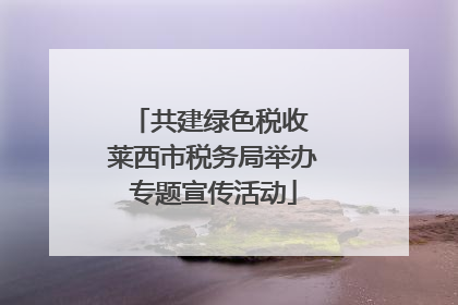 共建绿色税收 莱西市税务局举办专题宣传活动