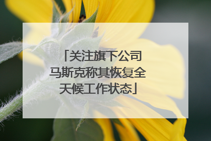 关注旗下公司 马斯克称其恢复全天候工作状态