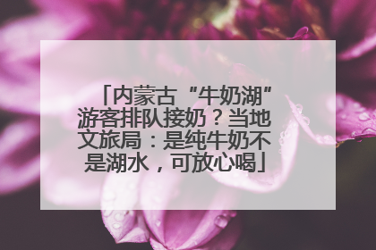 内蒙古“牛奶湖”游客排队接奶？当地文旅局：是纯牛奶不是湖水，可放心喝