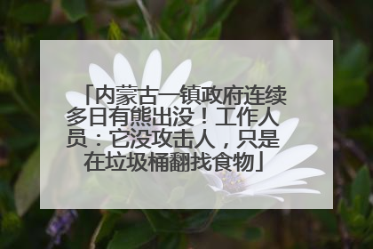 内蒙古一镇政府连续多日有熊出没！工作人员：它没攻击人，只是在垃圾桶翻找食物