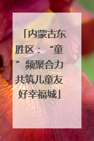 内蒙古东胜区：“童”频聚合力共筑儿童友好幸福城