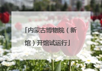内蒙古博物院（新馆）开馆试运行
