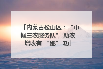 内蒙古松山区：“巾帼三农服务队” 助农增收有 “她” 功