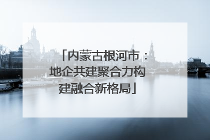 内蒙古根河市：地企共建聚合力构建融合新格局