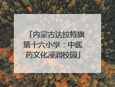 内蒙古达拉特旗第十六小学：中医药文化浸润校园