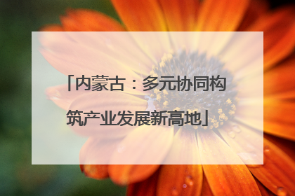 内蒙古：多元协同构筑产业发展新高地