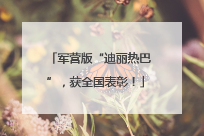 军营版“迪丽热巴”，获全国表彰！