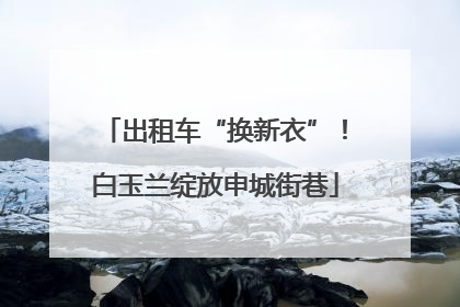 出租车“换新衣”！白玉兰绽放申城街巷