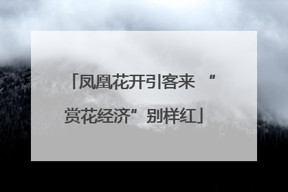 凤凰花开引客来 “赏花经济”别样红