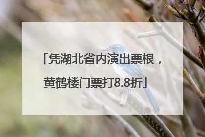 凭湖北省内演出票根，黄鹤楼门票打8.8折