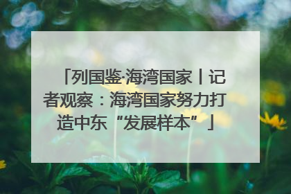 列国鉴·海湾国家丨记者观察：海湾国家努力打造中东“发展样本”