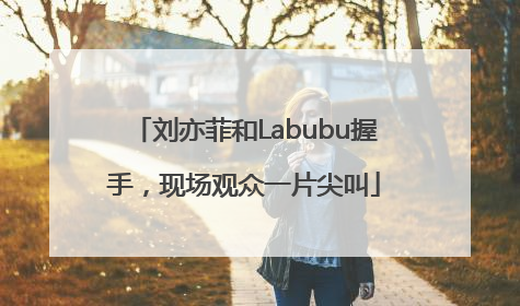 刘亦菲和Labubu握手，现场观众一片尖叫