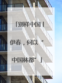 别样中国丨伊春，何以“中国林都”