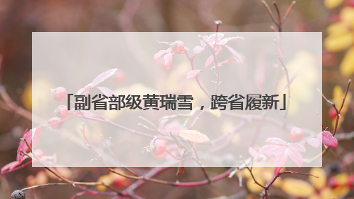 副省部级黄瑞雪，跨省履新