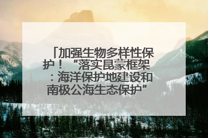 加强生物多样性保护！“落实昆蒙框架：海洋保护地建设和南极公海生态保护”主题论坛将举办