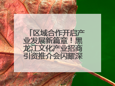 区域合作开启产业发展新篇章！黑龙江文化产业招商引资推介会闪耀深圳文博会