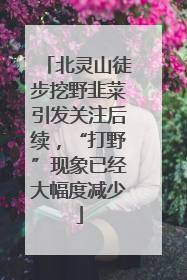 北灵山徒步挖野韭菜引发关注后续，“打野”现象已经大幅度减少