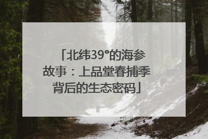 北纬39°的海参故事：上品堂春捕季背后的生态密码