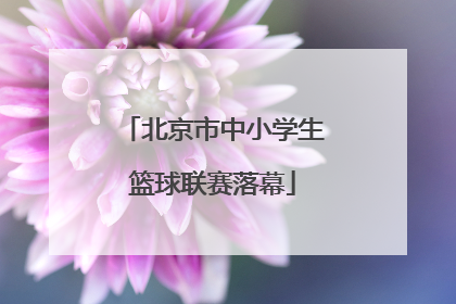 北京市中小学生篮球联赛落幕