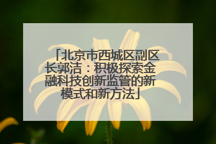 北京市西城区副区长郭洁：积极探索金融科技创新监管的新模式和新方法