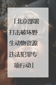 北京部署打击破坏野生动物资源违法犯罪专项行动