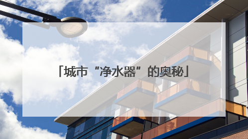 城市“净水器”的奥秘