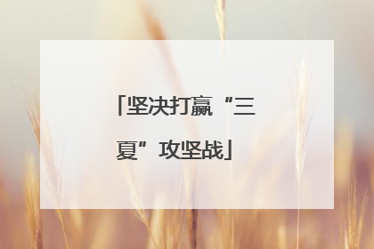 坚决打赢“三夏”攻坚战