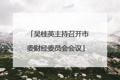 吴桂英主持召开市委财经委员会会议