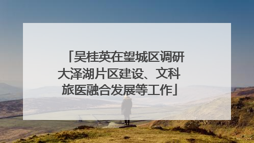 吴桂英在望城区调研大泽湖片区建设、文科旅医融合发展等工作