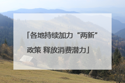 各地持续加力“两新”政策 释放消费潜力