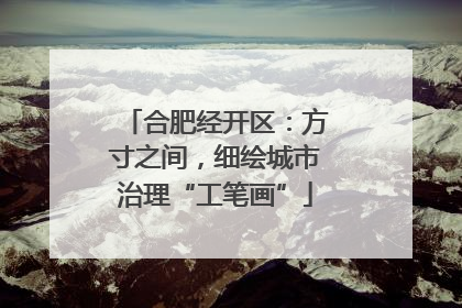 合肥经开区：方寸之间，细绘城市治理“工笔画”