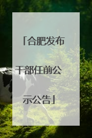 合肥发布干部任前公示公告