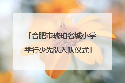 合肥市琥珀名城小学举行少先队入队仪式