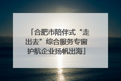 合肥市陪伴式“走出去”综合服务专窗护航企业扬帆出海