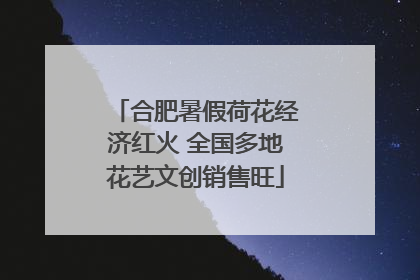合肥暑假荷花经济红火 全国多地花艺文创销售旺