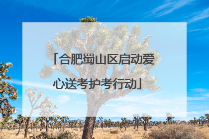 合肥蜀山区启动爱心送考护考行动