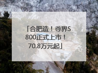 合肥造！尊界S800正式上市！70.8万元起