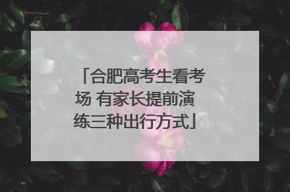 合肥高考生看考场 有家长提前演练三种出行方式