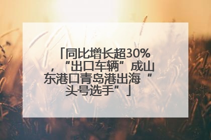 同比增长超30%，“出口车辆”成山东港口青岛港出海“头号选手”