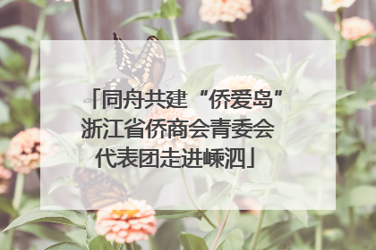 同舟共建“侨爱岛” 浙江省侨商会青委会代表团走进嵊泗