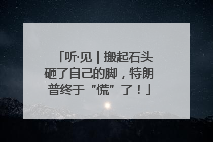 听·见｜搬起石头砸了自己的脚，特朗普终于“慌”了！