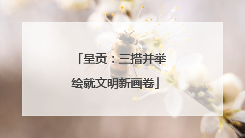 呈贡：三措并举绘就文明新画卷