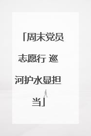 周末党员志愿行 巡河护水显担当