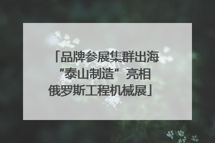 品牌参展集群出海 “泰山制造”亮相俄罗斯工程机械展