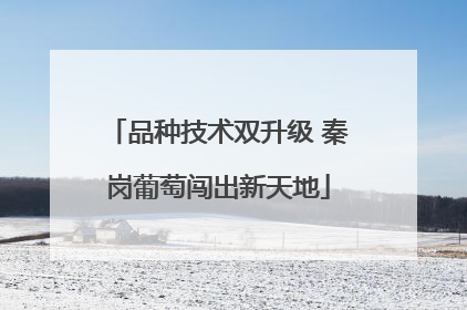 品种技术双升级 秦岗葡萄闯出新天地