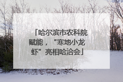 哈尔滨市农科院赋能，“寒地小龙虾”亮相哈洽会