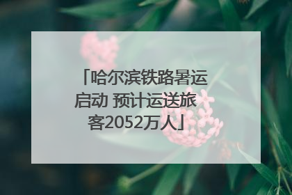 哈尔滨铁路暑运启动 预计运送旅客2052万人