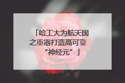 哈工大为航天国之重器打造高可靠“神经元”