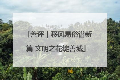 善评｜移风易俗谱新篇 文明之花绽善城